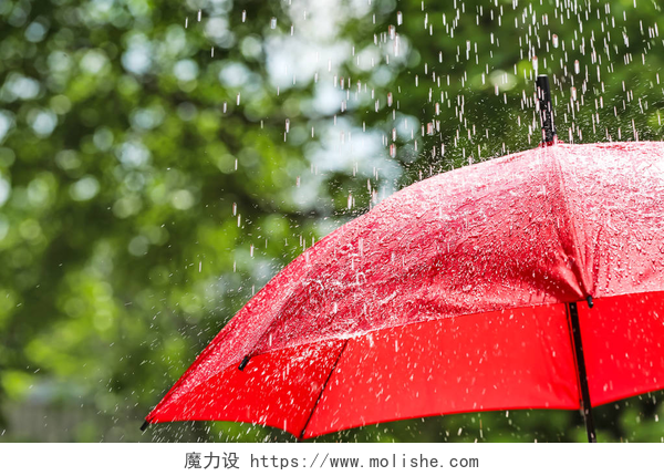 雨天户外的红色伞雨天户外的红色伞